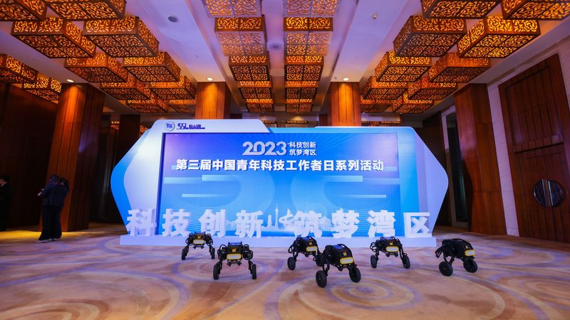 实时搜索性能优化：揭秘提升效率的关键策略